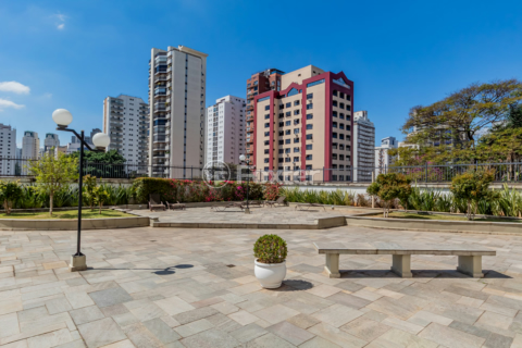 Image 36 - 647390