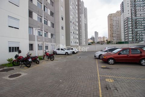 Image 38 - 551169