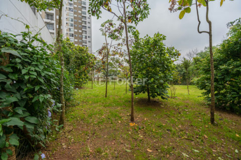 Image 35 - 982866
