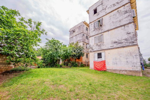 Image 31 - 932466