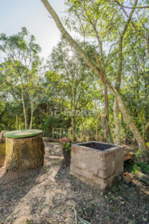 Image 31 - 932462