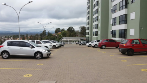 Image 50 - 1010281