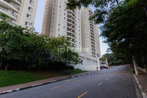 Image 25 - 1017239
