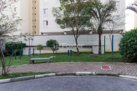 Image 52 - 1017239