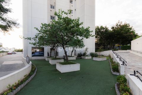 Image 72 - 1017239