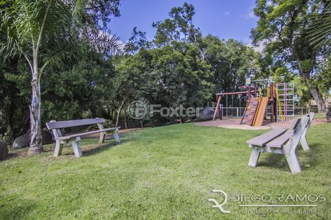 Image 41 - 737412