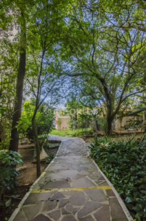 Image 36 - 1010848