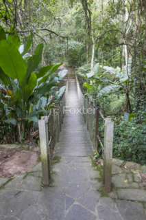 Image 36 - 147262