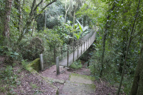 Image 37 - 147262