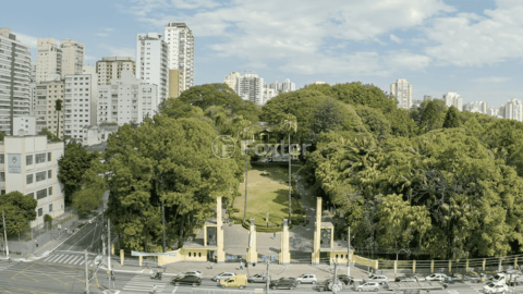 Image 41 - 1013830