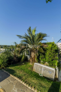 Image 45 - 244448