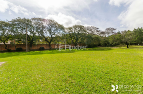 Image 47 - 534292