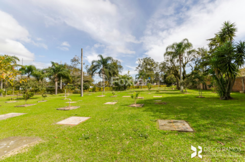 Image 52 - 534292