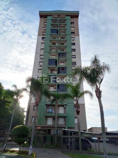 Image 29 - 896702