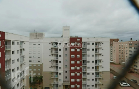 Image 11 - 1000118