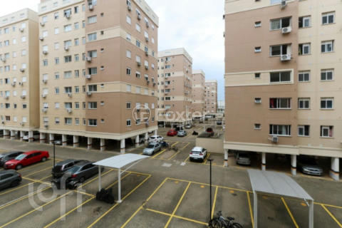 Image 11 - 1000151