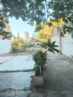 Image 24 - 1000199