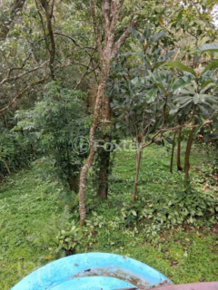 Image 16 - 1000361