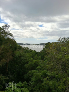 Image 10 - 1000361