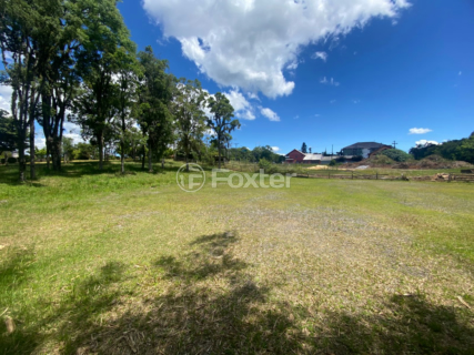 Image 2 - 1000383