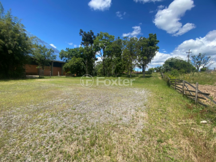 Image 3 - 1000383