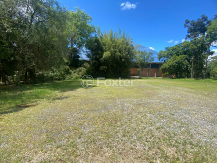 Image 4 - 1000383