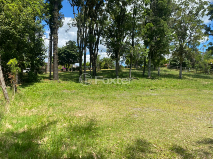 Image 6 - 1000383