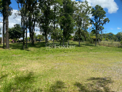 Image 5 - 1000383