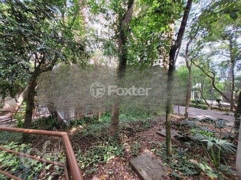 Image 13 - 1000411