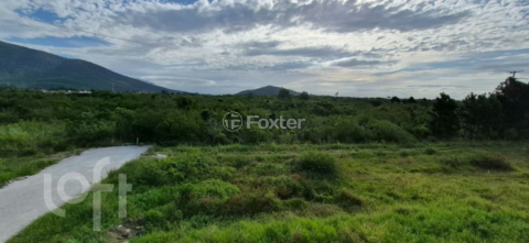 Image 9 - 1000477