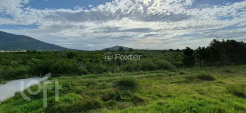 Image 32 - 1000477