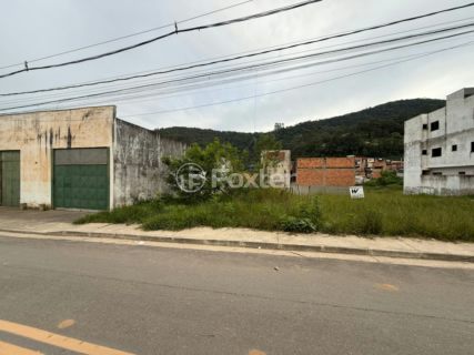 Image 3 - 1000840