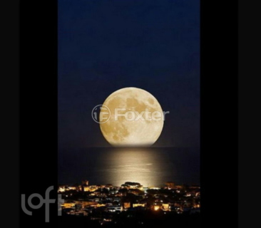 Image 14 - 1000871