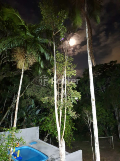 Image 19 - 1000907