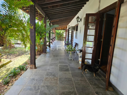 Image 10 - 1000948