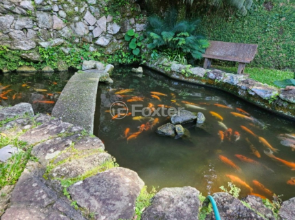 Image 5 - 1000948