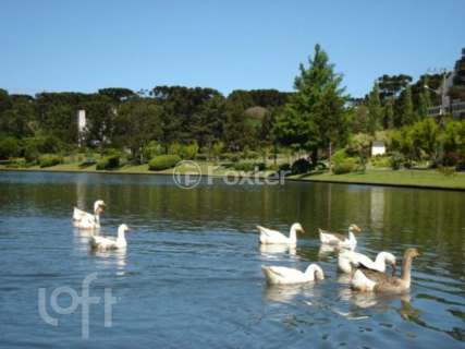 Image 22 - 1001097