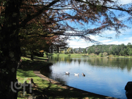 Image 23 - 1001097