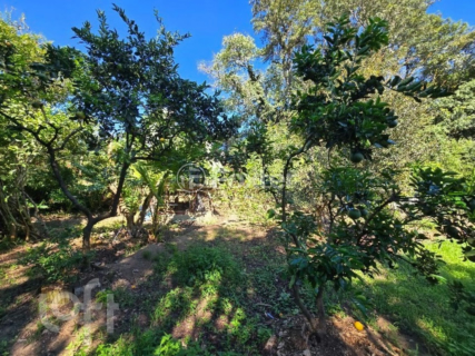 Image 65 - 1001348
