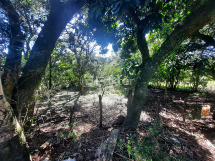 Image 3 - 1001414