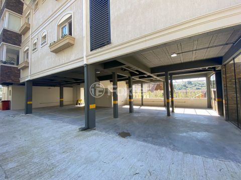 Image 24 - 1001511