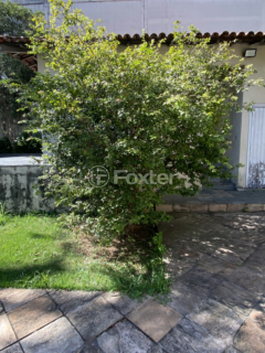 Image 7 - 1001563