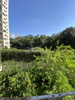 Image 42 - 1001563