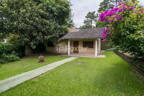 Image 41 - 100164