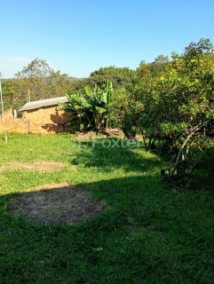 Image 2 - 1001663