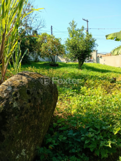 Image 6 - 1001663