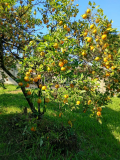 Image 4 - 1001663