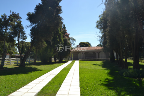 Image 31 - 1001872