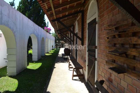 Image 7 - 1001872