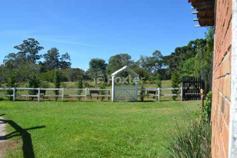 Image 8 - 1001872